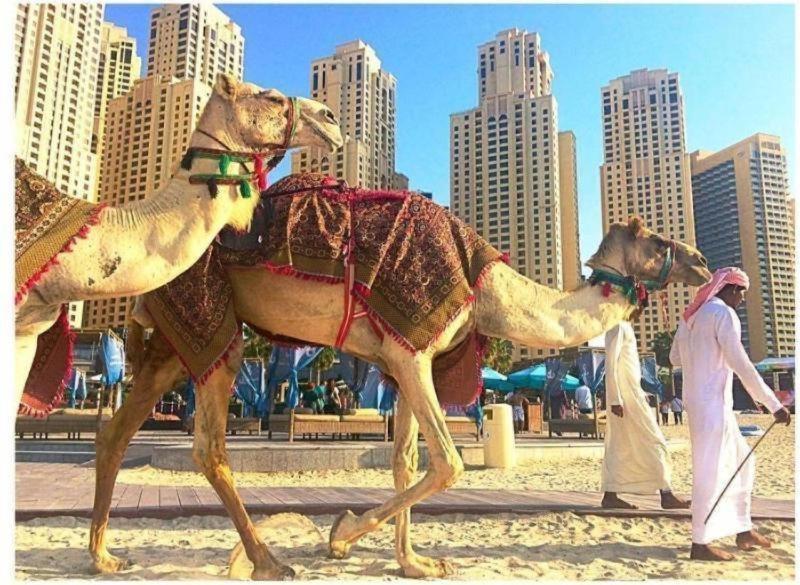 Luxury Apartments In Dubai Marina 外观 照片
